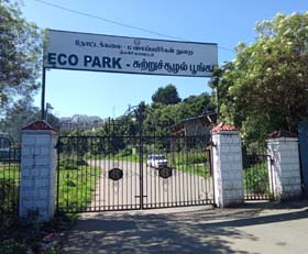 The Ooty Race Course, once the pride and a magnet for tourists, is now just a memory. Its gates stand locked after the lease expired, and a new board announces an Eco Park in its place. Across the country, racecourses face a similar fate—battling lease disputes or reeling under the punitive GST that has left the sport gasping for breath.
